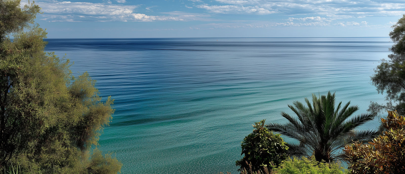 Illetas Cala Comtessa Beaches Mallorca